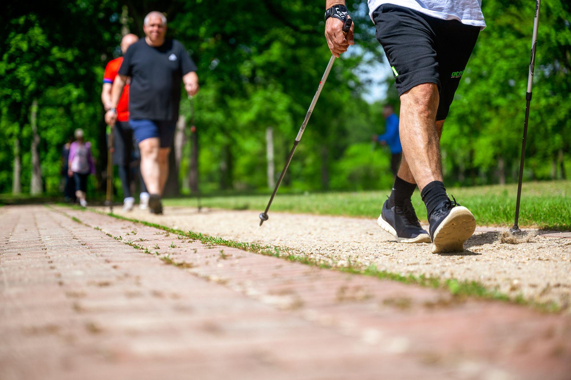 Mehrere Personen beim Nordic Walking im Park